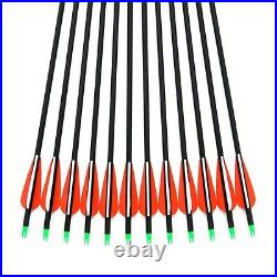 12x Carbon Arrows 31 Hunting Tournament Arrow Recurve Compound To 90 Lbs