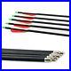 12x_Carbon_Arrows_31_Hunting_Tournament_Arrows_Recurve_Compound_up_to_90lbs_500_01_mqr