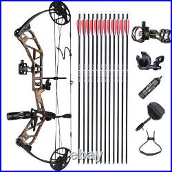 19-70lbs Archery Compound Bow Kit Hunting Carbon Arrows Sight Target Topoint