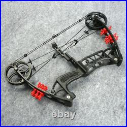 30-55lbs Compound Bow Steel Ball Dual-use Archery Arrow Hunting Fishing RH LH