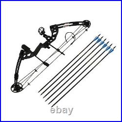 30-60lbs Adjustable Archery Compound Bow Arrows Set Shooting Hunting With 6 Arrows