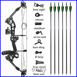30-60lbs Compound Bow Arrows Kit Archery Fishing Hunting Adult Target Shooting