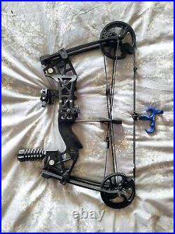30-60lbs Compound Bow Arrows & Steel Ball Hunting Fishing Archery Dual-Use RH LH