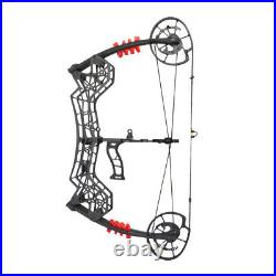 30-60lbs Compound Bow Catapult Dual-use Steel Ball Archery Arrows Hunting RH LH