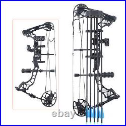 35-70LBS Compound Bow Kit + 12 Arrows Hunting Target Shooting Practice Tool NEW