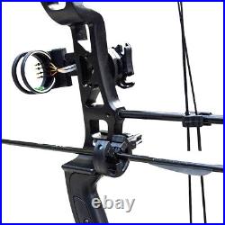 35-70lbs Archery Compound Bow Set Right Hand Arrow Adult Field Outdoor Hunting