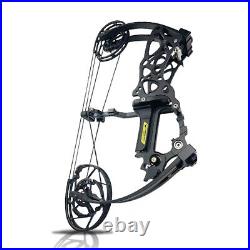 35-70lbs Compound Bow 17 Steel Ball Arrows Hunting Fishing Archery Target RH LH