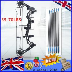 35-70lbs Compound Bow 329fps Archery Arrows Hunting + 12pcs Arrows