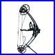 40_65lbs_Archery_Compound_Bow_Triangle_Hunting_21_Ambidextrous_Professional_UK_01_ggs