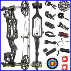 40-65lbs Compound Bow Catapult Dual-use Steel Ball Archery Fishing Hunting RH LH