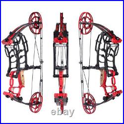 40-65lbs Compound Bow Short Axis Steel Ball Arrows Hunting Fishing Archery RH LH