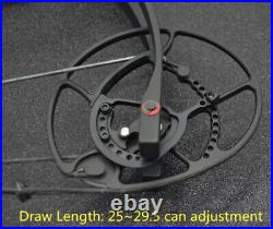 40-70lbs Compound Bow Steel Ball Dual-use Archery Arrow Fishing Hunting RH LH