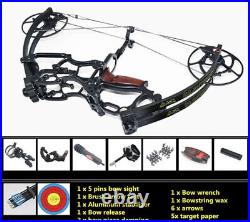 40-70lbs Compound Bow Steel Ball Dual-use Archery Arrow Fishing Hunting RH LH