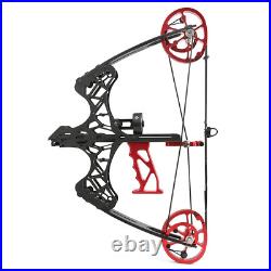 45lbs Mini Compound Bow Set Steel Ball Arrows Fishing Hunting Dual-use Archery
