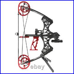45lbs Mini Compound Bow Set Steel Ball Arrows Fishing Hunting Dual-use Archery