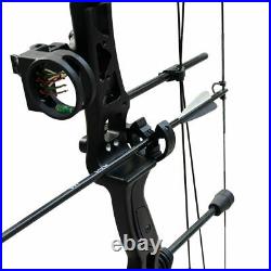 60lbs Archery Compound Bow Set Hunting Right Hand Arrow Adult Field Outdoor