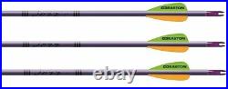 Archery 6 x Easton Jazz Aluminium Complete Target Arrows Recurve Compound Bow