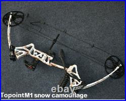 Archery Compound Bow 19-70lbs Adjustable Carbon Arrows Outdoor Shooting Hunting