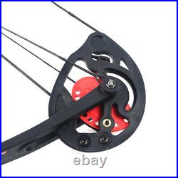 Archery Compound Bow Arrow Kit 15-25lbs Arrows Hunting Kit Double Cam Adjust