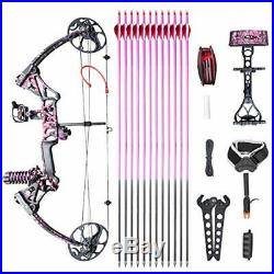 Archery Compound Bow Arrows Set Hunting Target 19-70lbs Right Handed Stabilizer