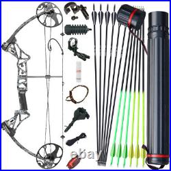 Archery Compound Bow Arrows Set Target 19-70lbs Right Handed Stabilizer Hunting