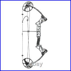 Archery Compound Bow Arrows Set Target 19-70lbs Right Handed Stabilizer Hunting