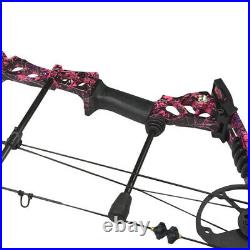 Archery Compound Bow Set 40-60lbs Adult Hunting Carbon Arrows Right Hand Target