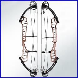 Archery Target Compound Bow 40 50 60lbs 330fps Shooting Sports Topoint BRETH 36