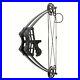 Archery_Triangle_Compound_Bow_45lbs_Right_Left_Hand_Shooting_Hunting_Competition_01_wjoy
