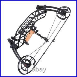 Compound Bow 35-65lbs Short Axis Steel Ball 380FPS Archery Let Off 80% R/LH Hunt