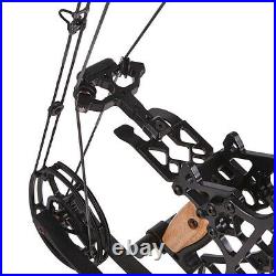 Compound Bow 35-65lbs Steel Ball Short Axis Archery Arrows Hunting Right Left