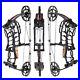 Compound_Bow_40_65lbs_Short_Axis_Steel_Ball_Arrows_Archery_RH_LH_Hunting_Fishing_01_igsp