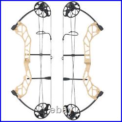 Compound Bow Arrows Kit 19-70lbs 320fps Archery Hunting Bow Shooting Target RH