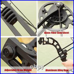 Compound Bow Arrows Set 30-60lbs Adjustable Archery Shooting Hunting Sport UK