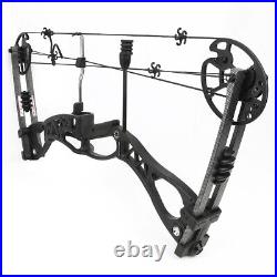 Compound Bow Kit 0-70lbs Archery Hunting Package Arrows Adult Target Shooting