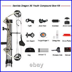 Compound Bow Kit 15-30lbs Archery Youth Kids Arrow Target Hunting Practice