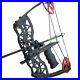 Compound_Bow_Professional_Hunting_Outdoor_Archery_40LBS_Fishing_Killing_Toy_USA_01_vu