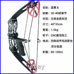 Compound Bow Professional Hunting Outdoor Archery 40LBS Fishing Killing Toy USA