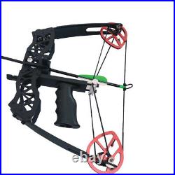 Compound Bow Professional Hunting Outdoor Archery 40LBS Fishing Killing Toy USA