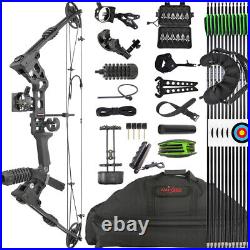 Compound Bow Set 20-70lbs Archery Hunting Arrows RH LH Adult Target Shooting