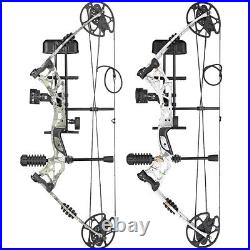 Compound Bow Set 30-70lbs Adjustable 320fps Carbon Arrows Archery Hunting Target