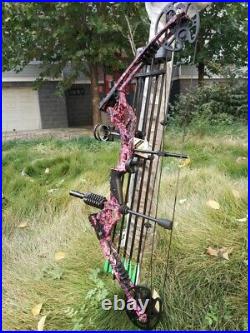 Compound Bow Set 30-70lbs Adjustable Carbon Arrows Adult Target Archery Hunting