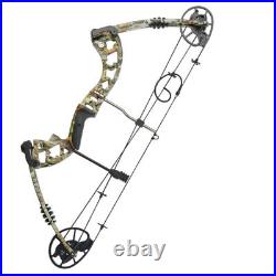 Compound Bow Set 30-70lbs Hunting Bow Sports Bow Archery Bow Arrow Hunting