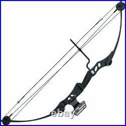 Compound Bow and Arrow Archery Set 12lb-55lb Powerful Target Shooting Hunting