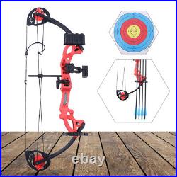 Junior Compound Bow & Arrows Kit Portable Archery Fishing Hunting Set double cam