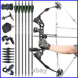 LH 20-70lbs Archery Compound Bow Arrows Set Stabilizer Hunting Shoting Target RH