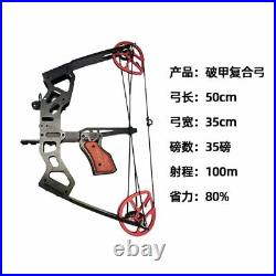 Mini Compound Bow Set 35lbs Outdoor Bow Fishing Hunting Archery Shooting Killing