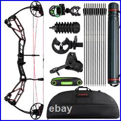 RH 30-70lbs Archery Compound Bow Arrows Set Stabilizer Hunting Shot Target CNC