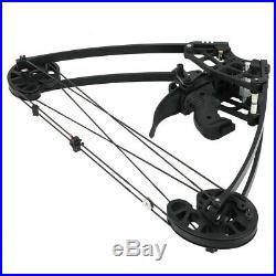 Triangle Compound Bow 50lbs Hunting Archery Shoot Competition Sports 230fps